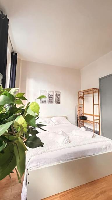 Appartement Le Cocon à Montauban Extérieur photo